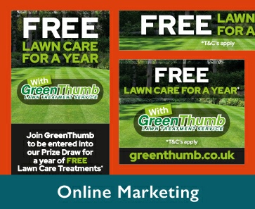 Portfolio Online Marketing